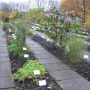 Botanisk hage