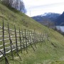 Trohes